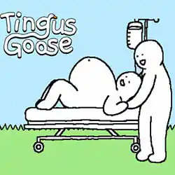 Tingus Goose PC Free Download (Tenoke)