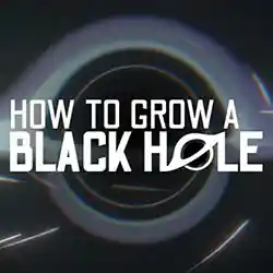 How To Grow a Black Hole PC (Final)