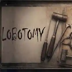 Lobotomy for PC (P2P Final)