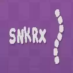SNKRX PC Game Free Download